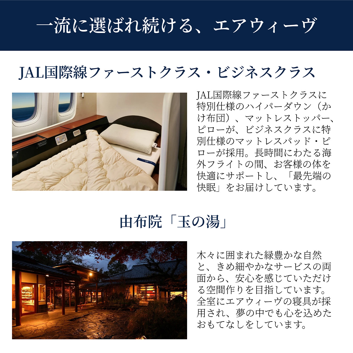 〔詳細2〕採用実績