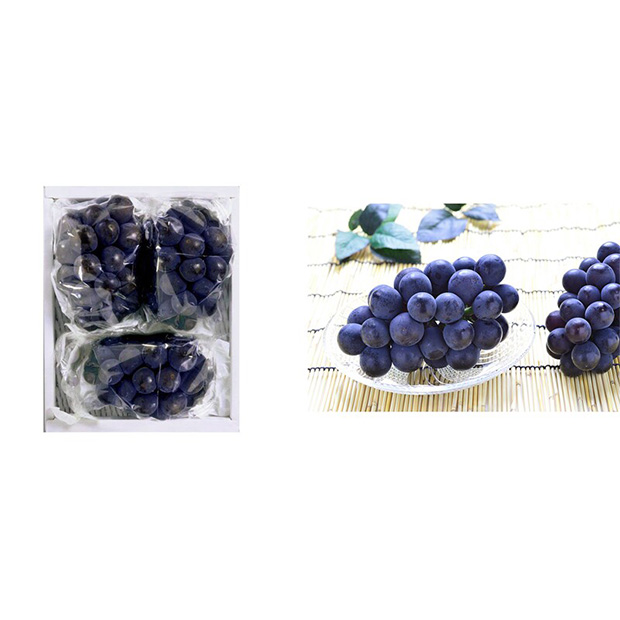 岡山県産 種なしピオーネ