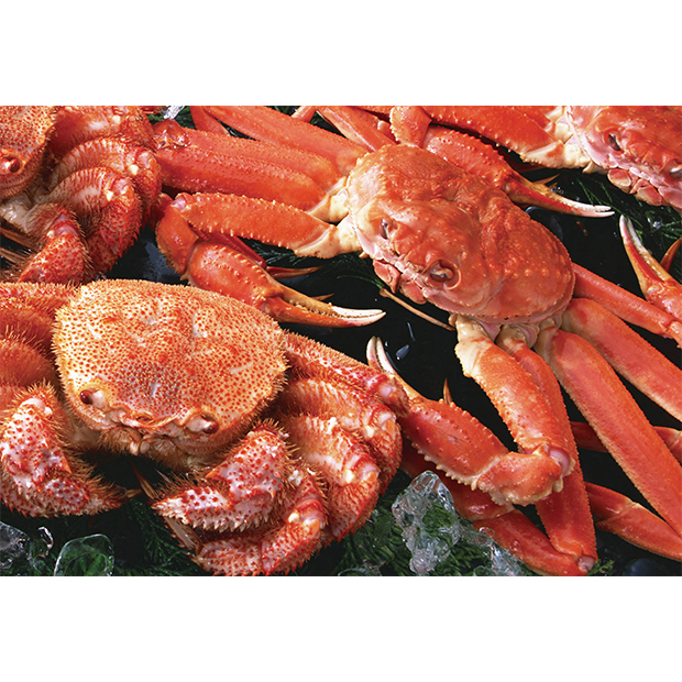 北海かにくらべ(ずわい蟹&毛蟹)
