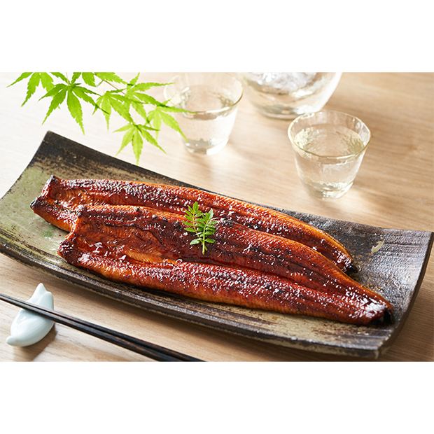 浜松・浜名湖うなぎ特大蒲焼2人前