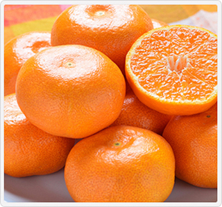 佐賀県産 ハウスみかん