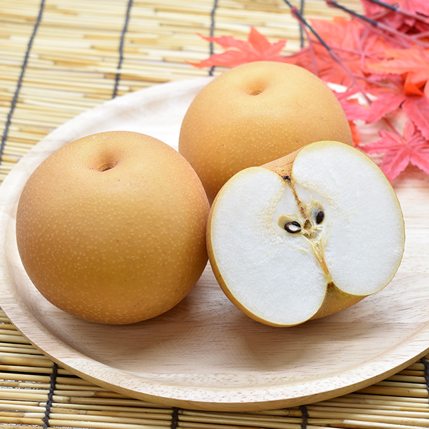 新潟 高糖度梨