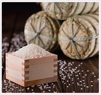 特別栽培米 山形県おきたま産 つや姫