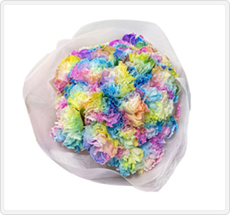 カーネーション(レインボー)