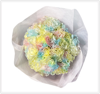 カーネーション(パステルレインボー)