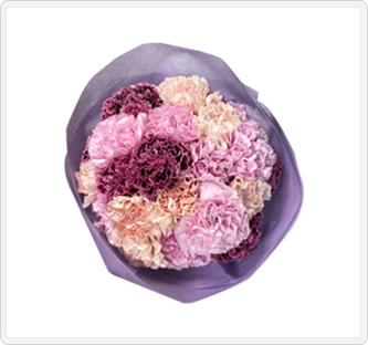 カーネーション(ピンク)