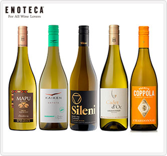 〔エノテカ〕世界のシャルドネ飲み比べ5本セット