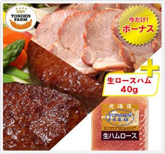 〔北海道 トンデンファーム〕炭火焼焼豚&ハンバーグセット+生ロースハム40g