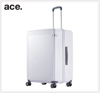 〔エース〕ace.パリセイド3Z 06916-06 ホワイトカーボン