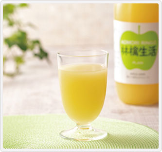 青森りんご100%ストレートジュース 9本セット