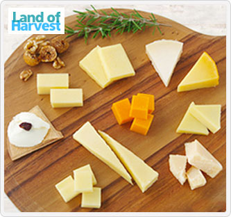 〔ランドオブハーベスト〕世界のチーズ詰め合わせ カットチーズ10種セット