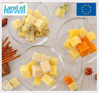 〔ランドオブハーベスト〕9種類のチーズとお菓子を楽しむ計13点セット