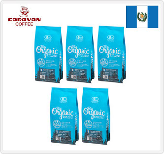 〔キャラバンコーヒー〕ビオオーガニック グアテマラ アティトラン