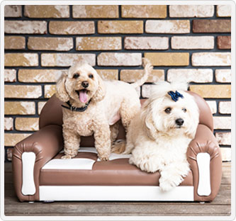 〔THITHIPET〕日本製手作りペットソファー キャンテイミニ