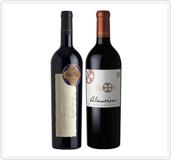 チリを代表するワイナリー 有名評論家100点獲得2本セット