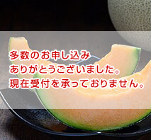 北海道産　ふらのメロン