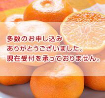 佐賀県産　ハウスみかん