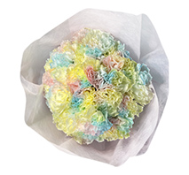 カーネーション（パステルレインボー）