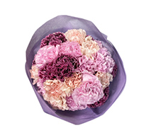 カーネーション（ピンク）