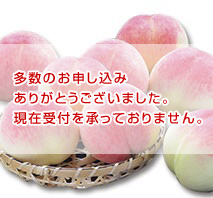 〔山梨/丸章ファーム〕朝もぎ桃