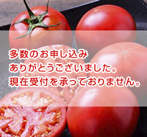 高知県産　徳谷トマト