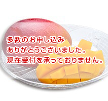 宮崎県産　太陽のタマゴ