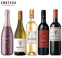 〔エノテカ〕ベストセラーワイン5本セット