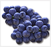 岡山県産　種なしピオーネ