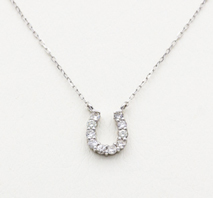 Pt ダイヤ ホースシューネックレス