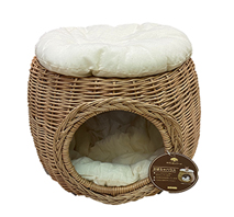 〔KONBI〕かぼちゃハウス