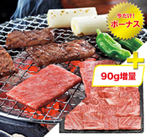 宮崎牛 ロース焼肉用（プラス90g）