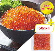 いくらの醤油漬け（プラス1袋）