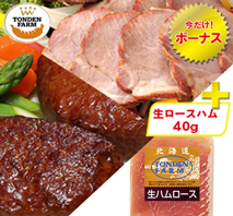 〔北海道 トンデンファーム〕炭火焼焼豚＆ハンバーグセット＋生ロースハム40g