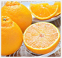 熊本県産　デコポン