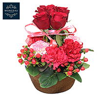 〔モンソーフルール〕アレンジメント レッド（母の日用）