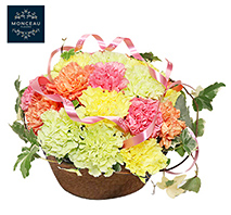 〔モンソーフルール〕アレンジメント カーネーション ピンク（母の日用）