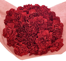 カーネーション 花束（レッド・母の日用）