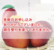 〔JAおきなわ〕プレミアムマンゴー1.0kg