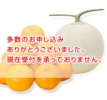 アールスメロン・ハウスみかん