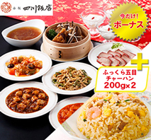 〔赤坂四川飯店監修〕 本格四川料理オードブル＋ふっくら五目チャーハン200g×2
