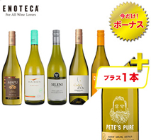〔エノテカ〕世界のシャルドネ飲み比べ5本セット＋1本