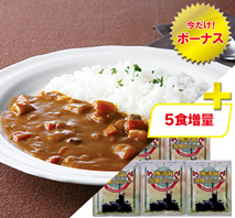 横須賀海軍カレー中辛（プラス5食）