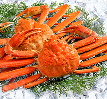 本ずわい蟹姿（2杯）