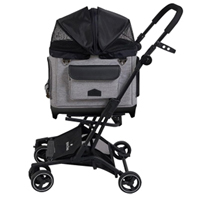 〔Royal Tails〕Alice Gray