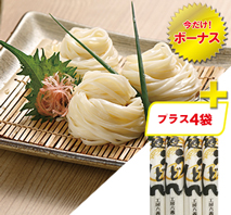 手延稲庭うどん（プラス4袋）