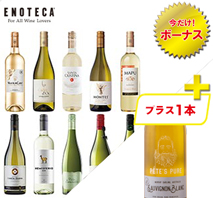 〔エノテカ〕毎日飲みたい白ワイン10本セット＋1本