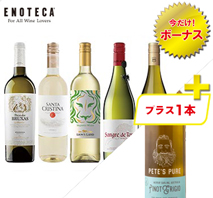 〔エノテカ〕和食に合う白ワイン5本セット＋1本