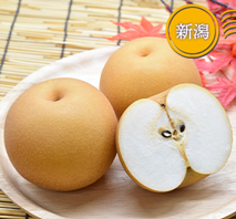 新潟 高糖度梨