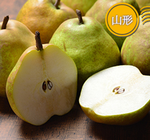 山形 須田果樹園 ラ・フランス