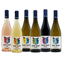 南フランスワインを楽しむバラエティ6本セット